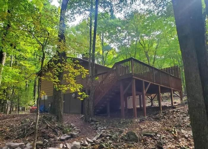 Harmony In The Woods